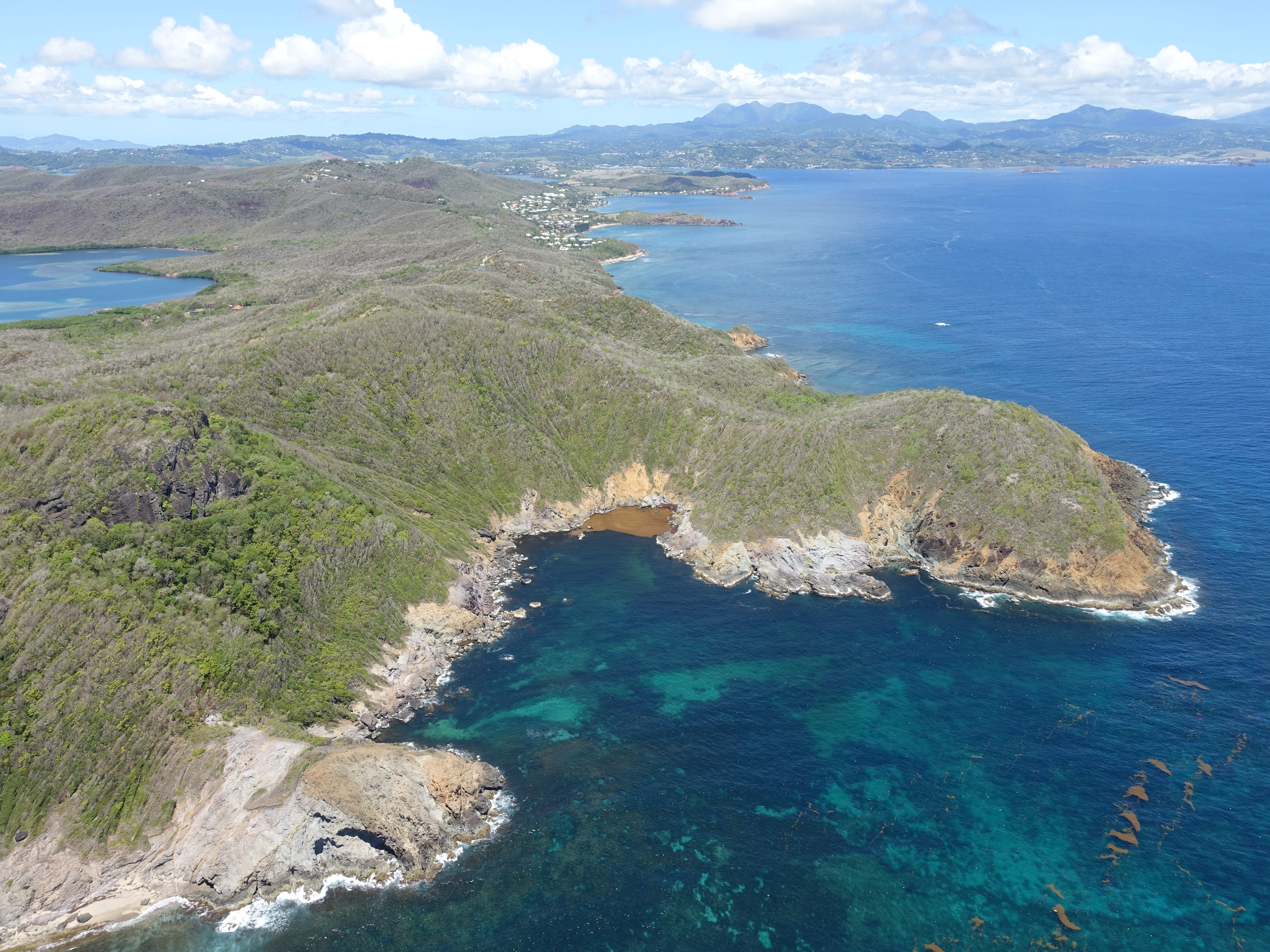 Presqu’île de la Caravelle © PNR de la Martinique - AERODREAM