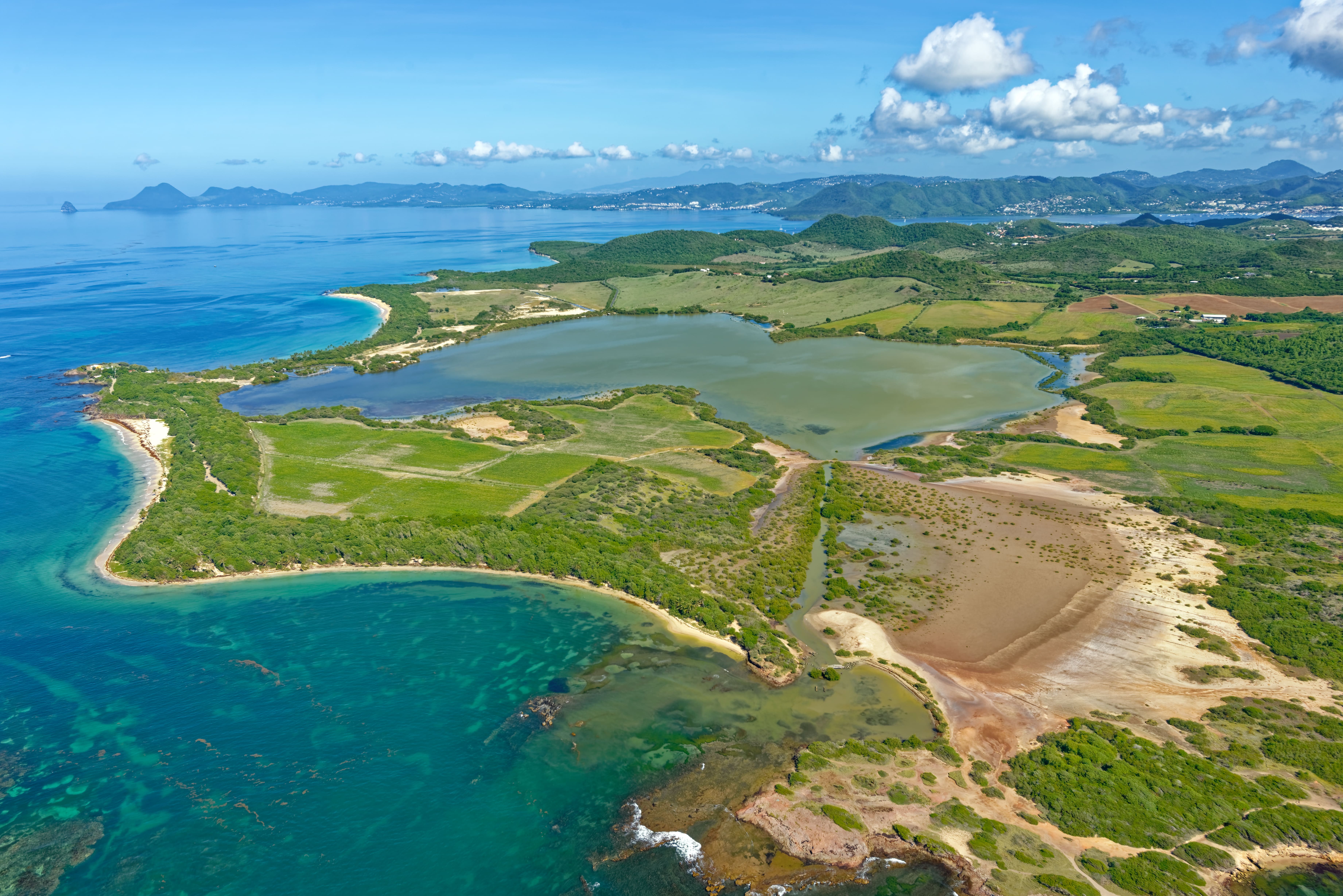 L’étang des Salines, Martinique © PNR de la Martinique - Autrevue