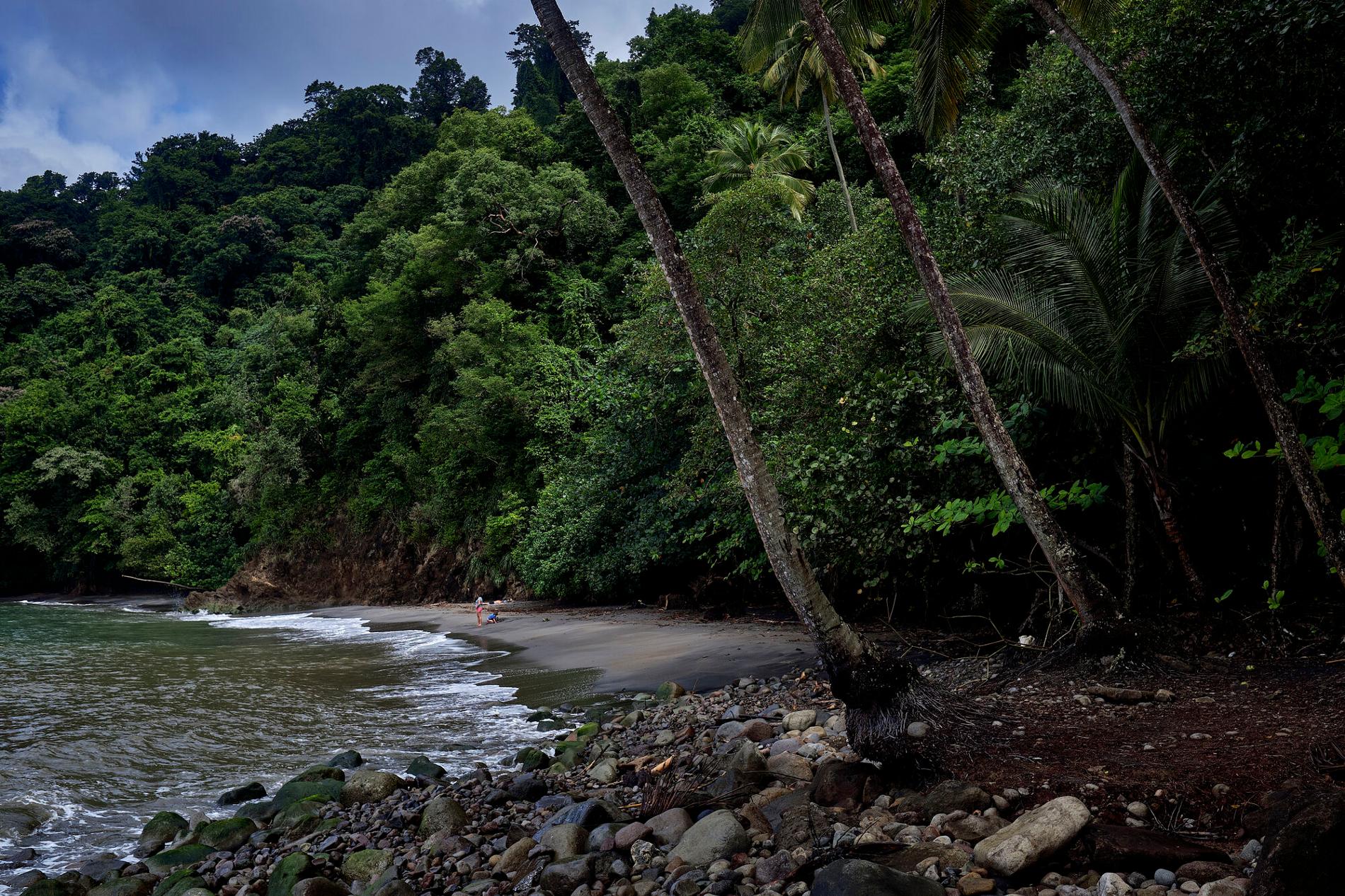 Plage de Martinique © Antoine Forget - OFB