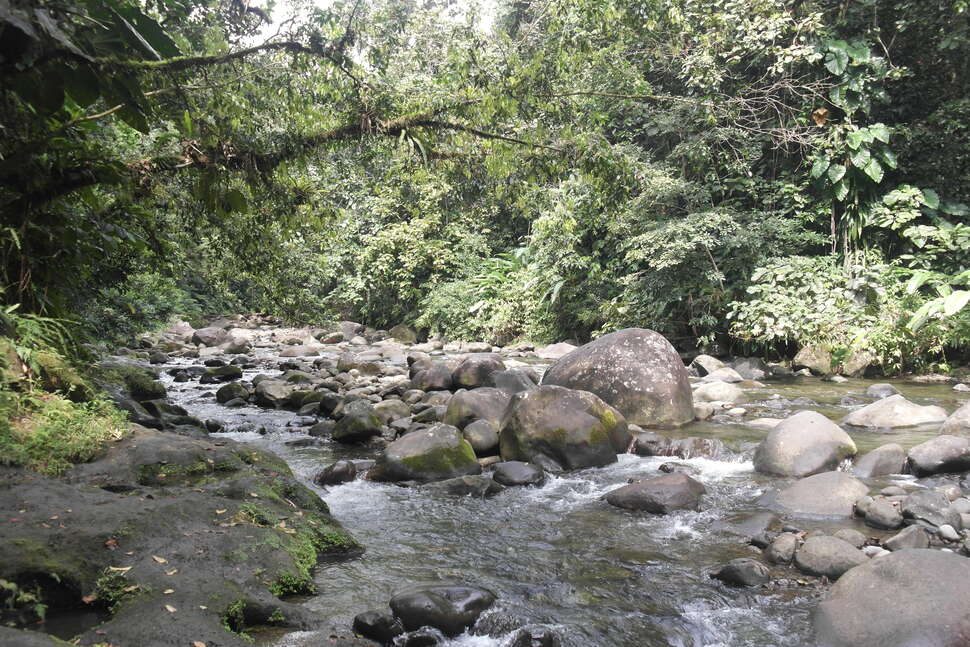 Rivière Corossol, Parc national de Guadeloupe © Claire Roussel - OFB