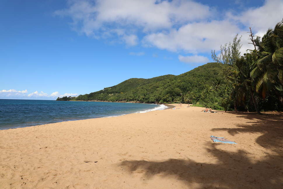 Plage de Grande Anse © Amandine Escarguel - OFB