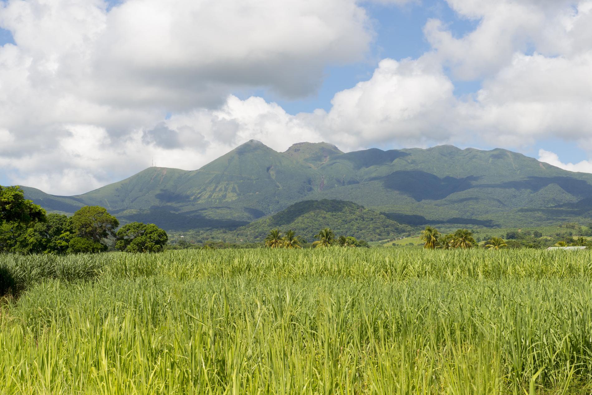 Vue sur la Soufrière © Hélène Valenzuela