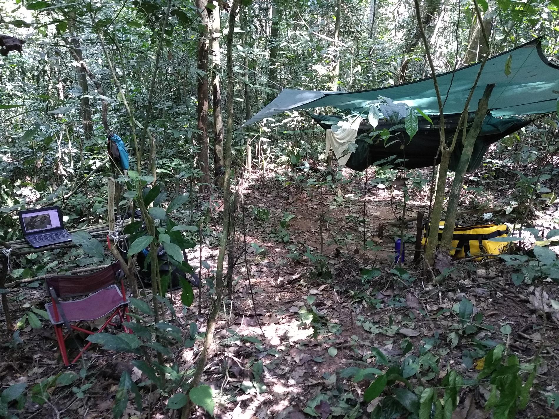 Camp en sous-bois © Nicolas Moulin