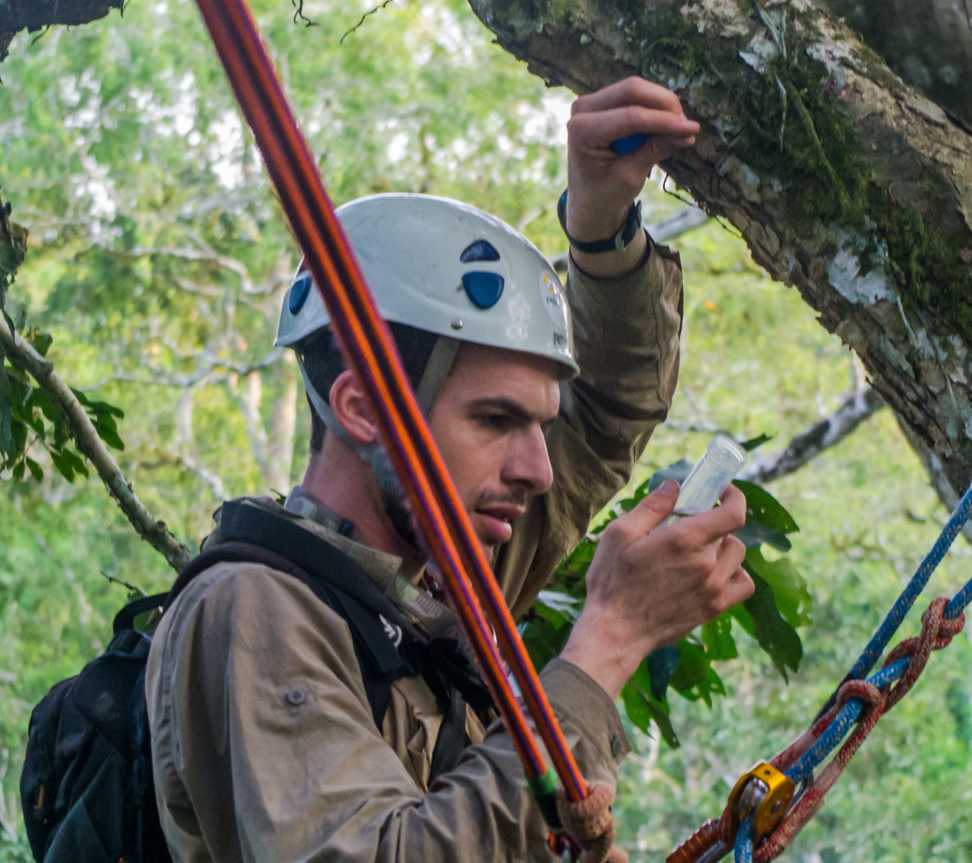 Nicolas Moulin, entomologiste indépendant