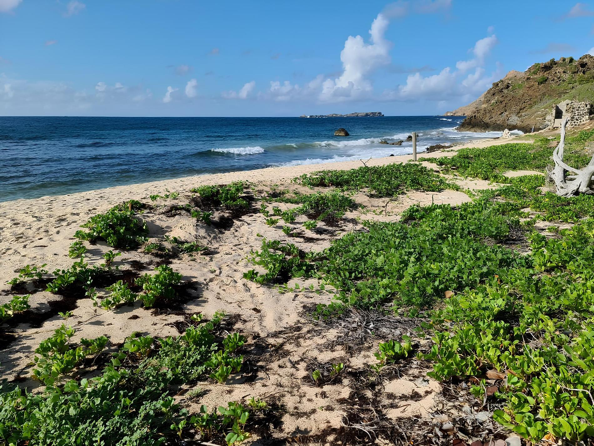 Anse de Toiny © ATE