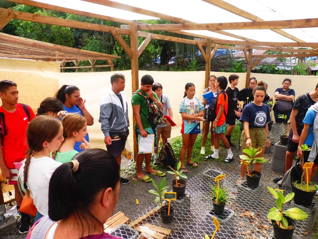 Visite de la pépinière avec des scolaires © Jean-Yves Hiro Meyer – Délégation à la Recherche de Polynésie française