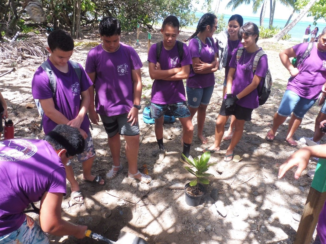 Plantation avec les scolaires © Jean-Yves Hiro Meyer – Délégation à la Recherche de Polynésie française