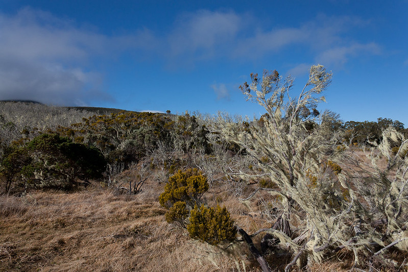 Hauteurs du massif de la Roche Écrite © Laurent Echiniscus