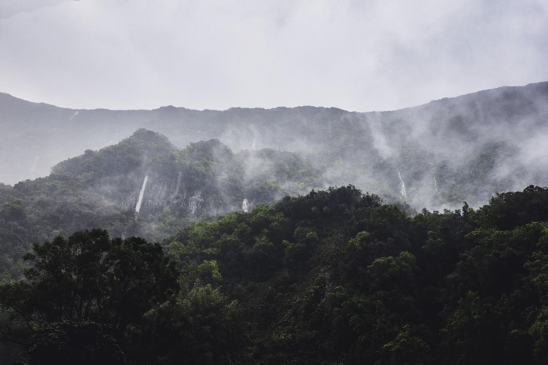 Forêts au cirque de Salazie © Alexandre Clair