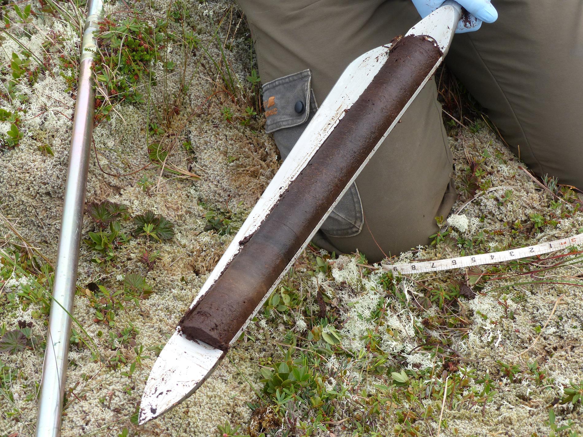 Méthode de carottage pour l’étude de la paléoécologie © Dominique Marguerie