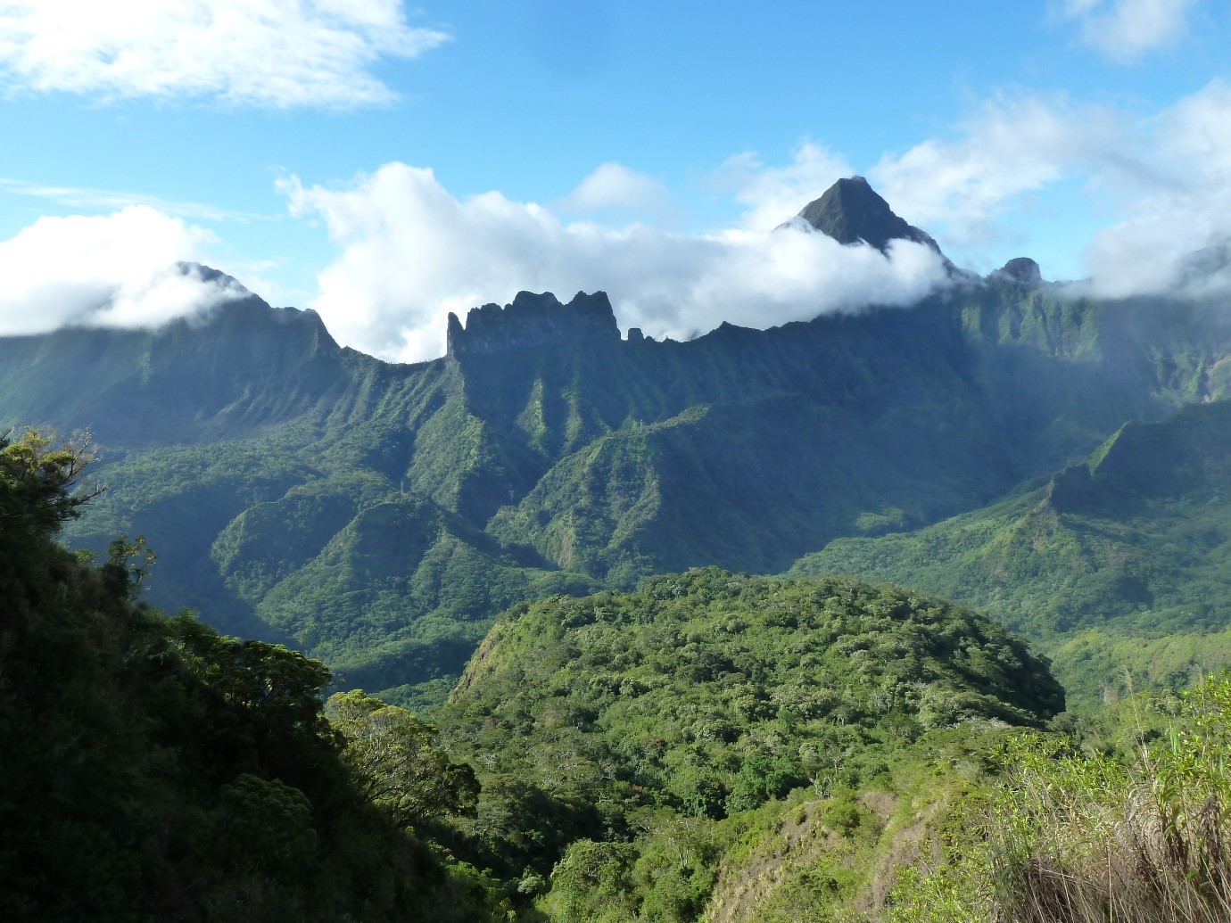 Vue sur le plateau de Maraeti’a © Jean-Yves Hiro Meyer – Délégation à la Recherche de Polynésie française