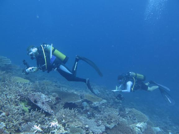 Plongeurs étudiant les récifs de Mayotte © Alexandra Gigou - OFB