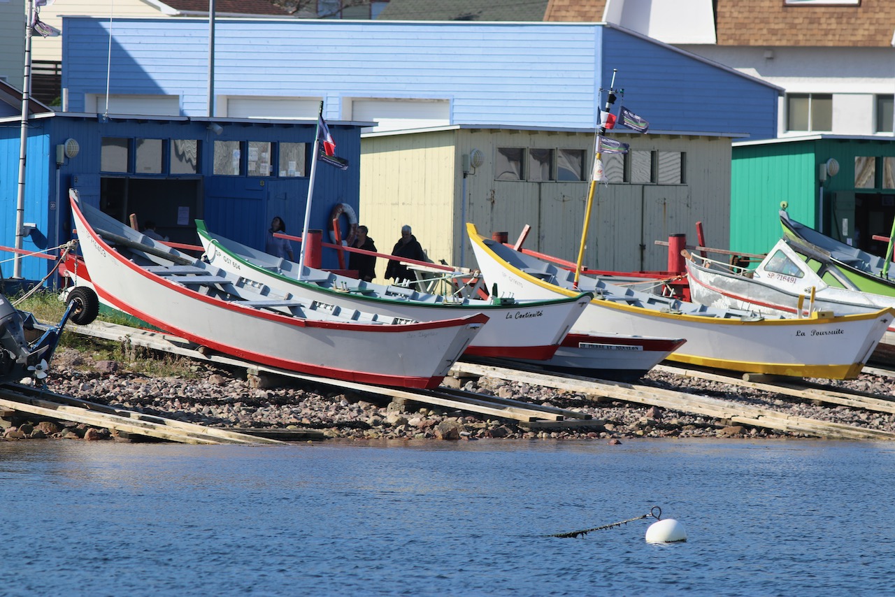 Les doris devant les salines dans le port de Saint-Pierre © Passagers des sciences