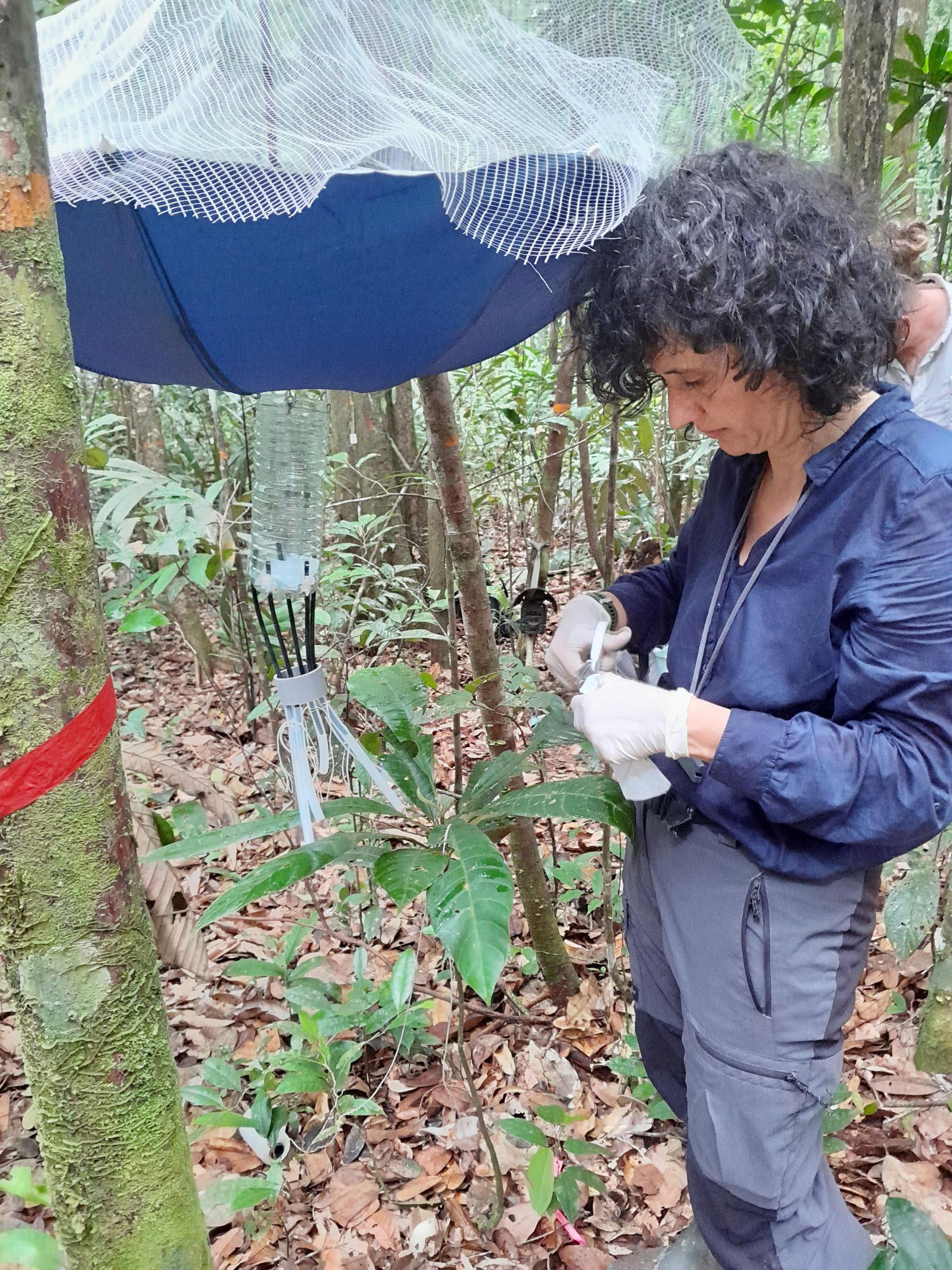 Finalisation de la préparation du dispositif de collecte d'eau de pluie (Amaia Iribar) © Anne-Sophie Benoiston