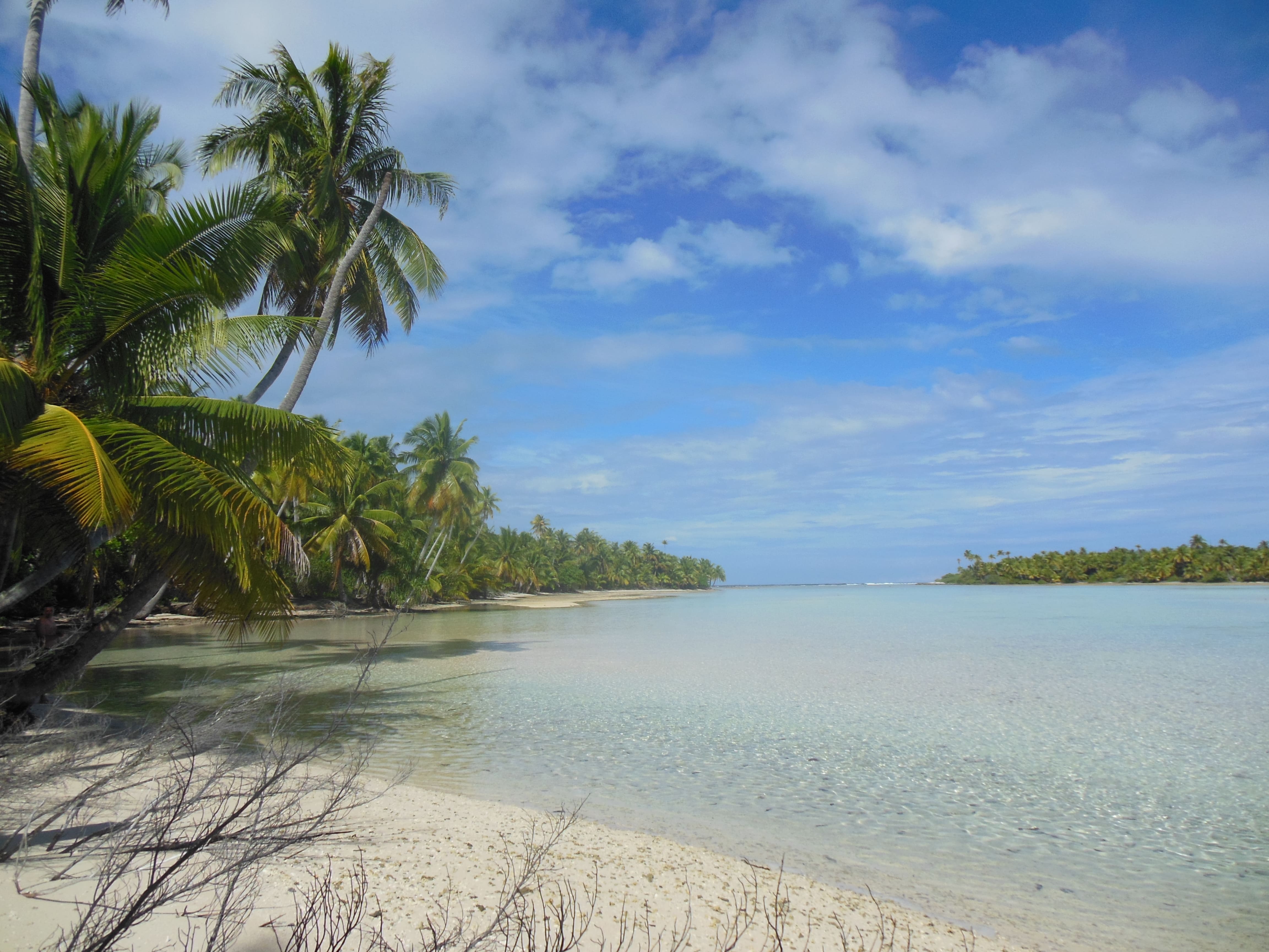 Plage de Fakarava, Tuamotu © Céline Soyer