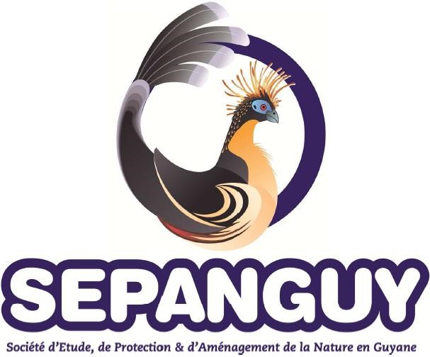 Sepanguy