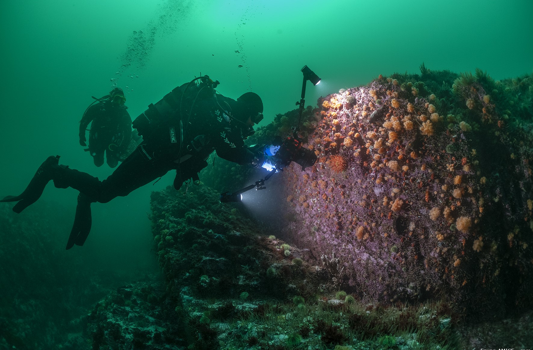 Exploration des fonds marins de Saint-Pierre-et-Miquelon en plongée sous-marine © Erwan Amice