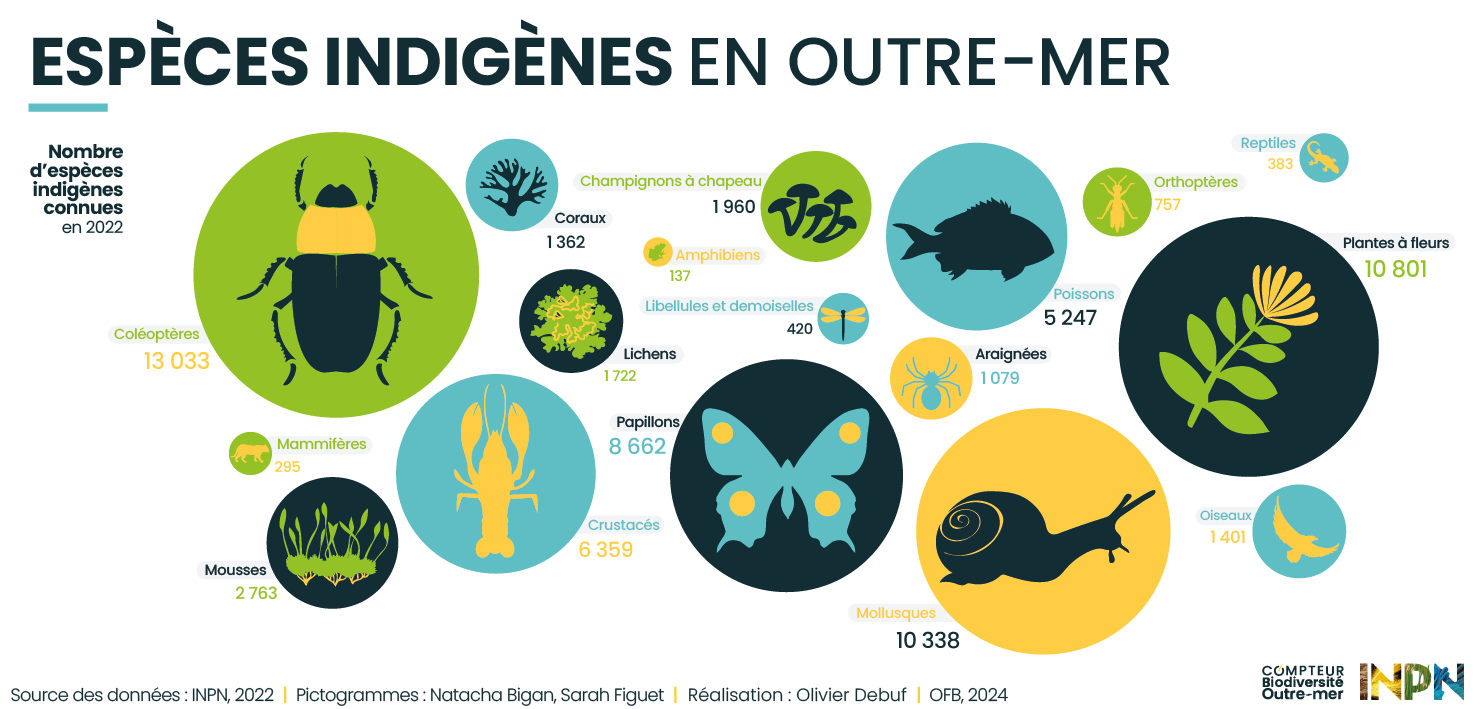 Indicateur par territoire