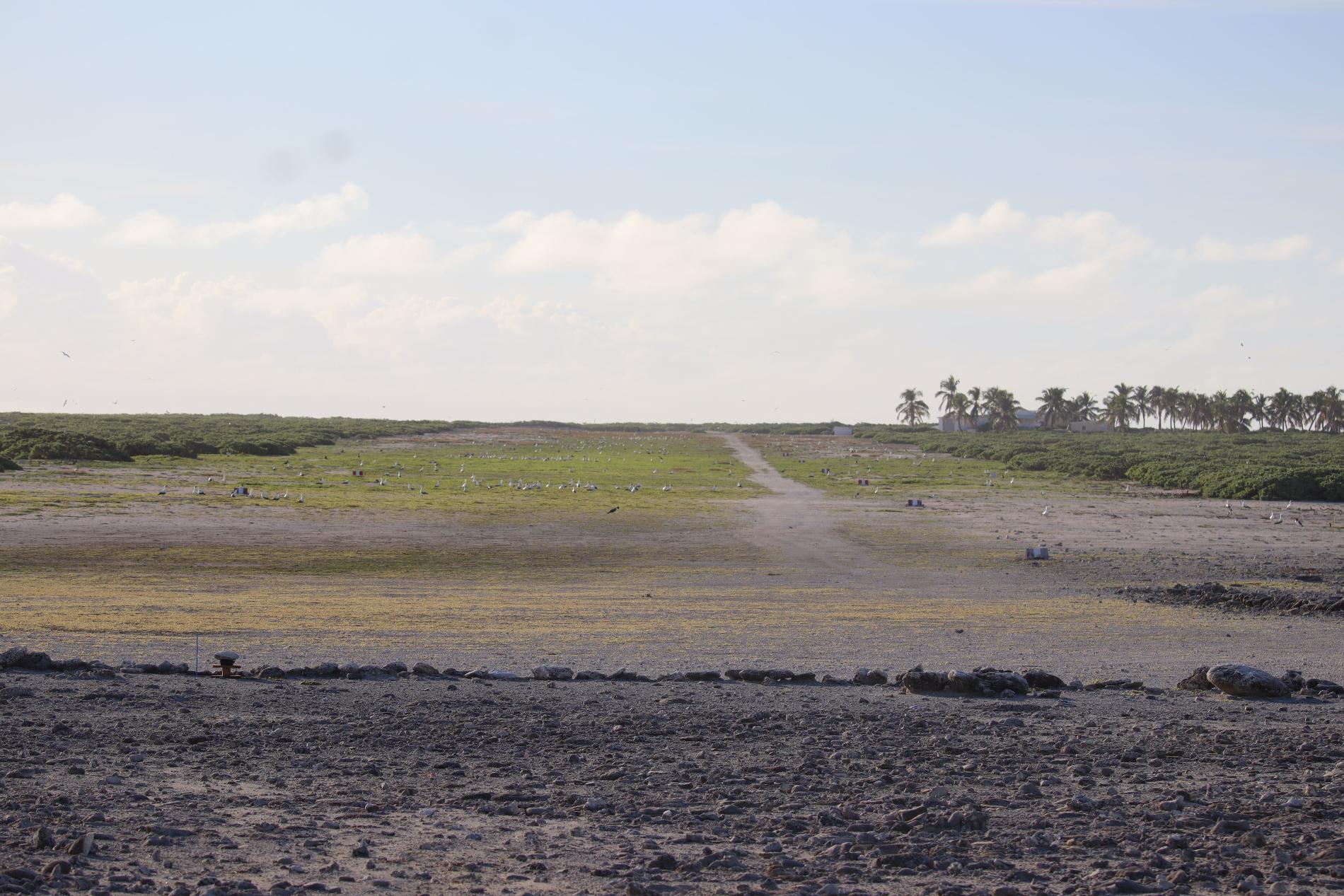 Vue de la piste d’atterrissage, à droite on distingue les cocotiers et la base vie © Léna Margueron - TAAF